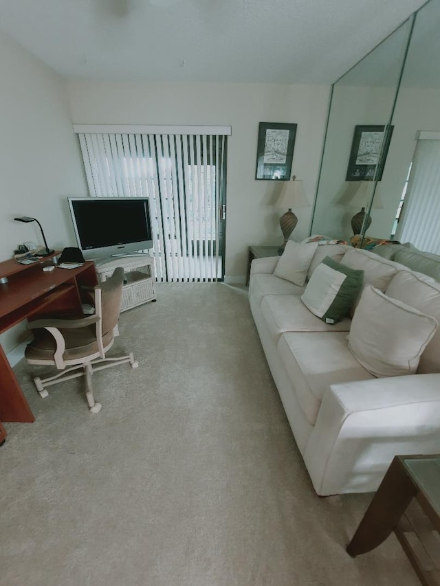living area with carpet floors