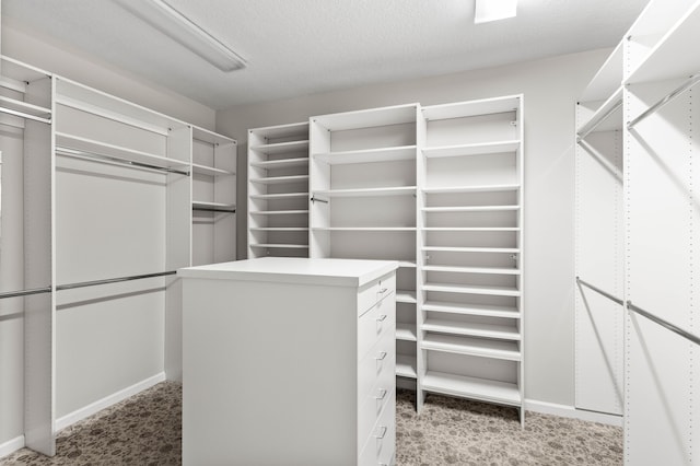 16137 Via Monteverde, Delray Beach, FL 33446 - walk in closet with carpet floors