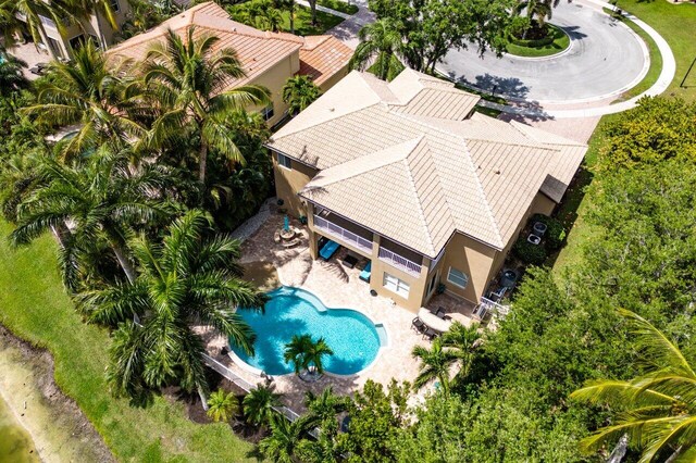 drone / aerial view