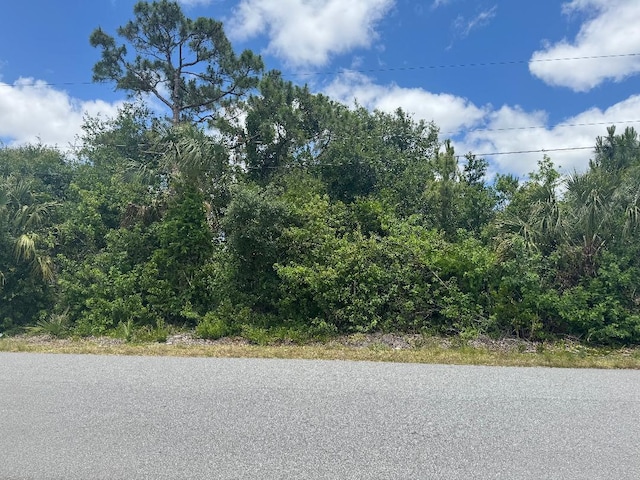 1437 Tidewell St SE, Palm Bay, FL 32909