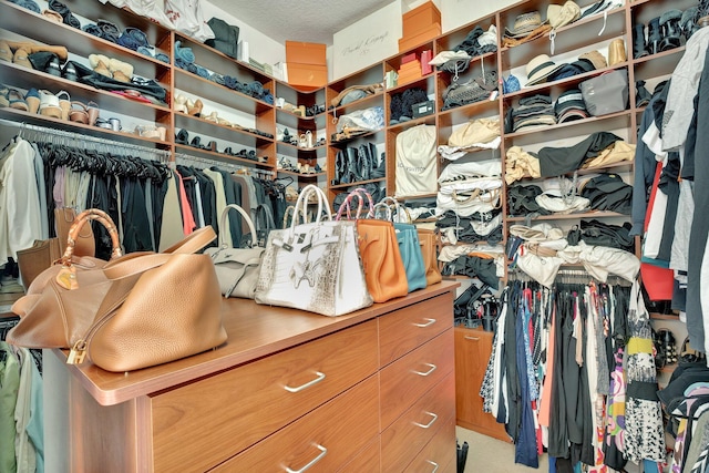 6131 NW 30th Ave, Boca Raton, FL 33496 - view of spacious closet