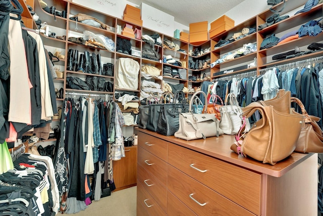 6131 NW 30th Ave, Boca Raton, FL 33496 - view of spacious closet