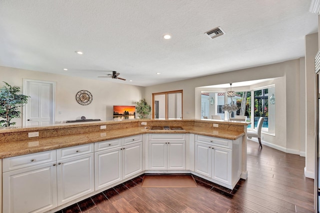 6131 NW 30th Ave, Boca Raton, FL 33496 - kitchen featuring light stone countertops, visible vents, dark wood finished floors, stovetop, and ceiling fan with notable chandelier