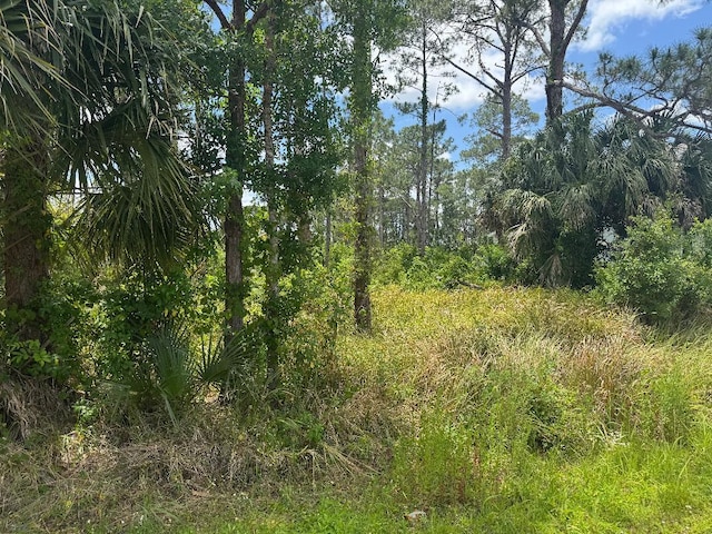 1458 Transcoro St SE, Palm Bay, FL 32909