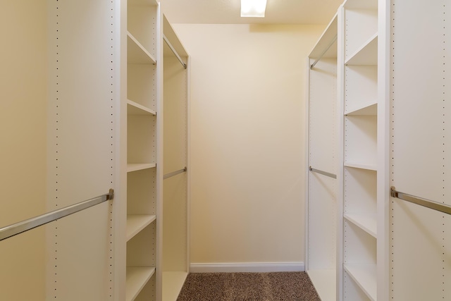 10828 SW Dardanelle Dr, Port Saint Lucie, FL 34987 - spacious closet with carpet flooring