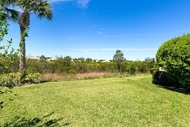 10828 SW Dardanelle Dr, Port Saint Lucie, FL 34987 - view of yard