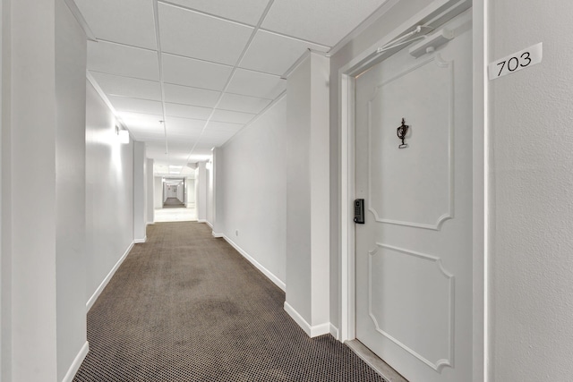 hall with carpet, baseboards, and a drop ceiling