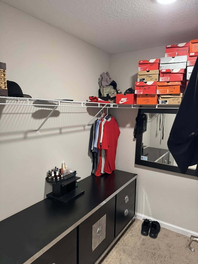 walk in closet with light carpet