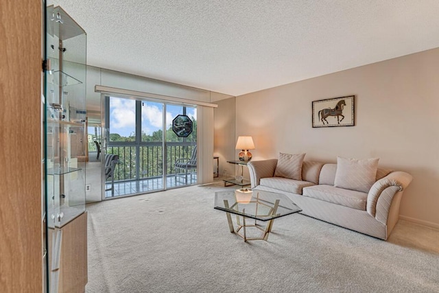 living area with carpet, baseboards, and a textured ceiling