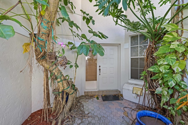 2502 NW 66th Dr, Boca Raton, FL 33496 - property entrance featuring stucco siding