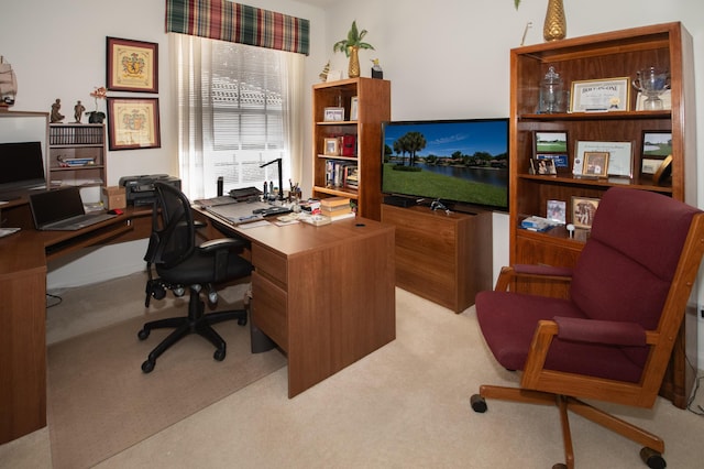 home office with carpet flooring