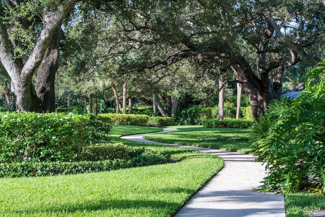 view of property's community featuring a yard