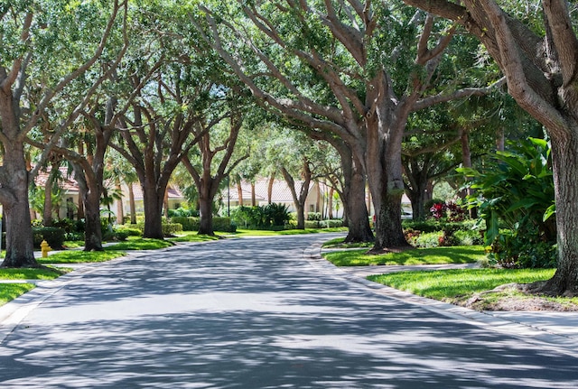 view of road featuring curbs