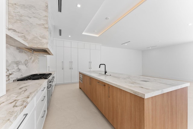 880 NE 3rd Ave, Boca Raton, FL 33432 - kitchen featuring a sink, modern cabinets, light stone countertops, and stainless steel range