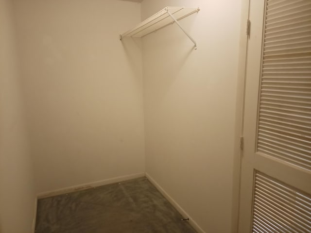 2231 NW 34th Ter, Coconut Creek, FL 33066 - walk in closet with dark carpet