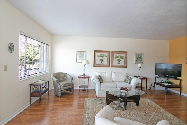 living room with baseboards and wood finished floors