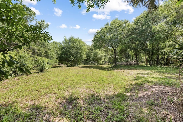 7633 NW 93rd Ct, Okeechobee, FL 34972 - view of yard
