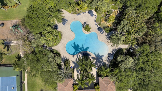 bird's eye view