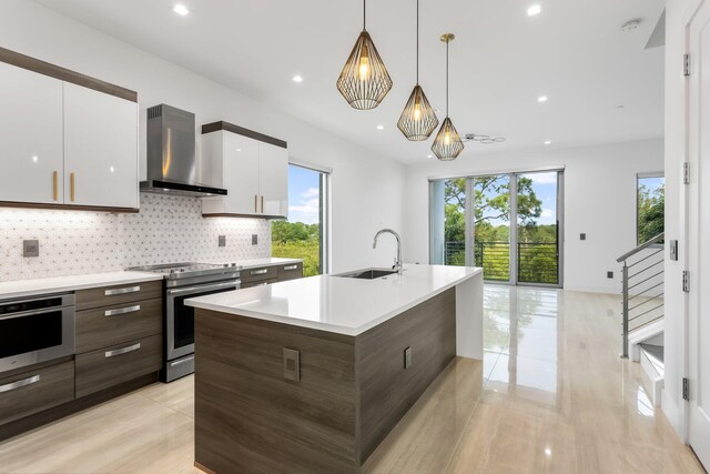 4240 NW 17th Ave, Boca Raton, FL 33431 - kitchen with appliances with stainless steel finishes, wall chimney exhaust hood, a sink, modern cabinets, and healthy amount of natural light
