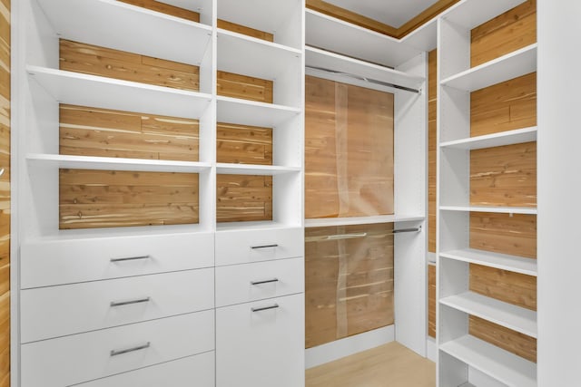 4240 NW 17th Ave, Boca Raton, FL 33431 - view of walk in closet