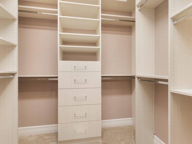 spacious closet with carpet flooring
