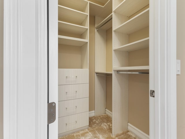 walk in closet with light carpet