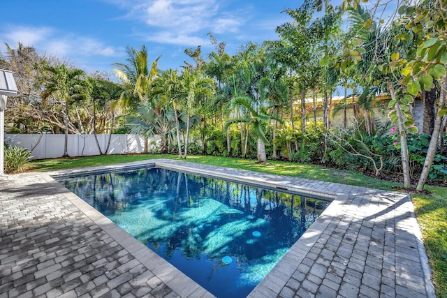 view of swimming pool featuring a patio area, a fenced backyard, a fenced in pool, and a yard