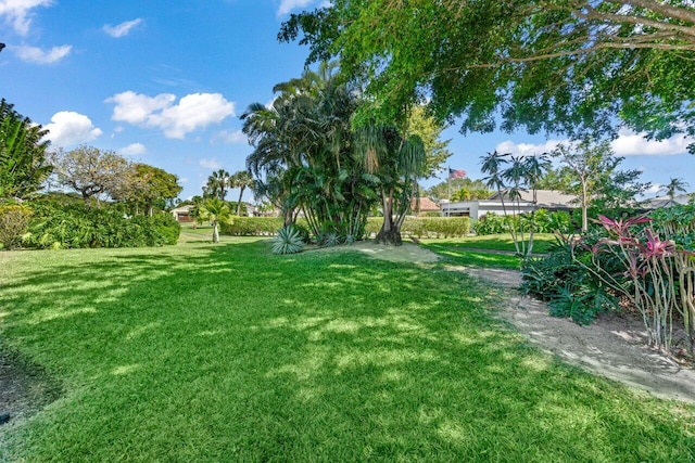 view of yard