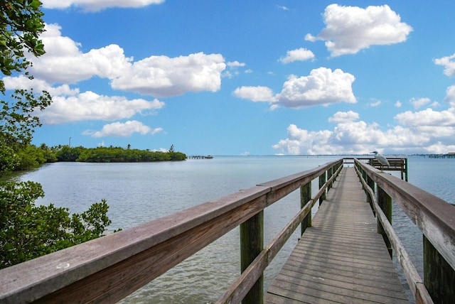 dock area featuring a water view