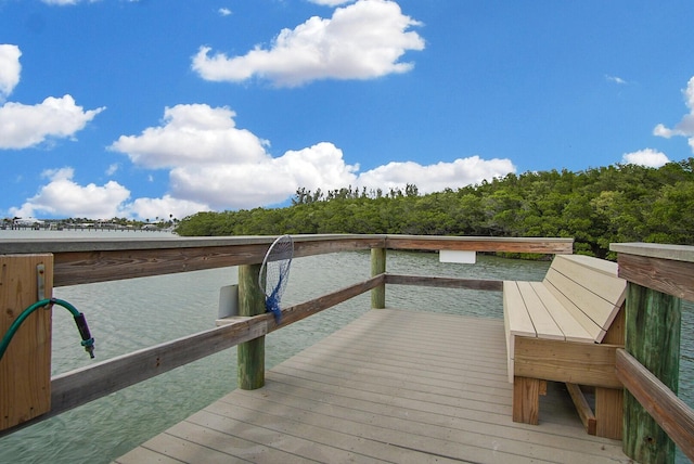 view of dock area