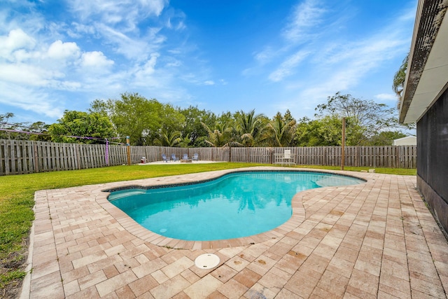 view of pool with a fenced backyard, a yard, a patio area, and a fenced in pool