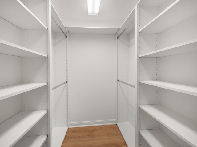 spacious closet featuring light wood-type flooring