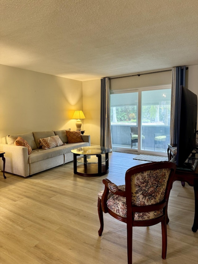 living room featuring a textured ceiling and light wood finished floors