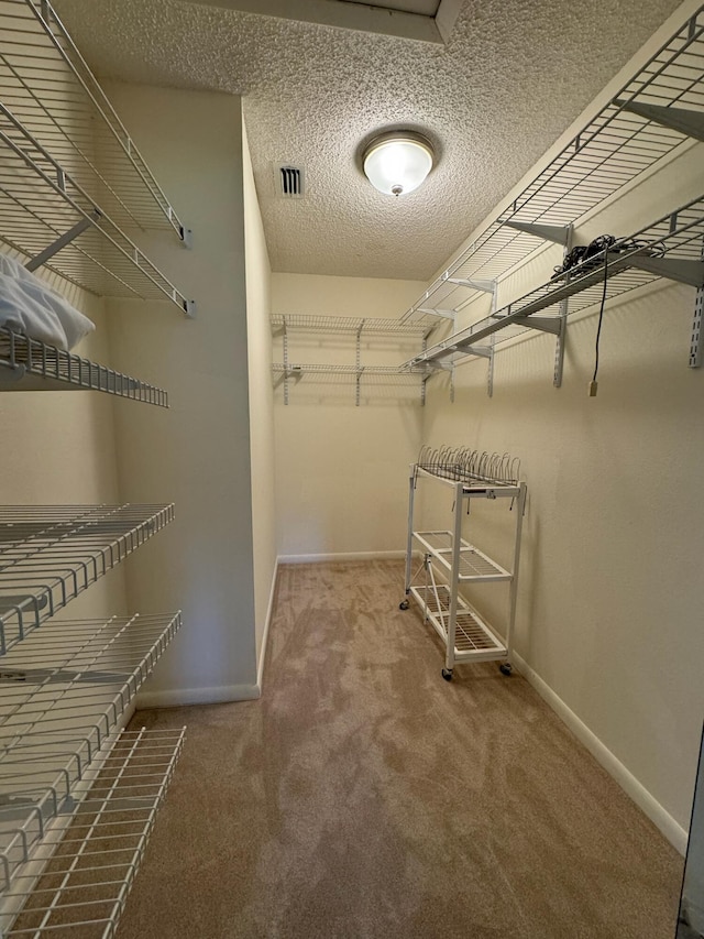 spacious closet with visible vents and carpet floors