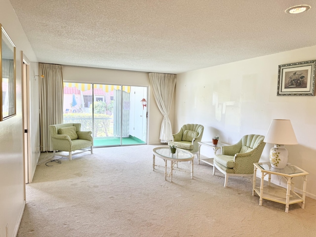 carpeted living area with a textured ceiling