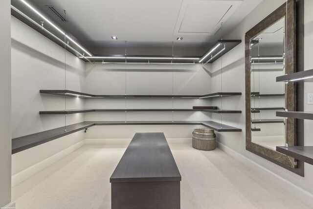 view of storage room