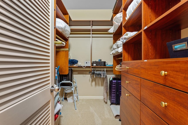 spacious closet with carpet floors