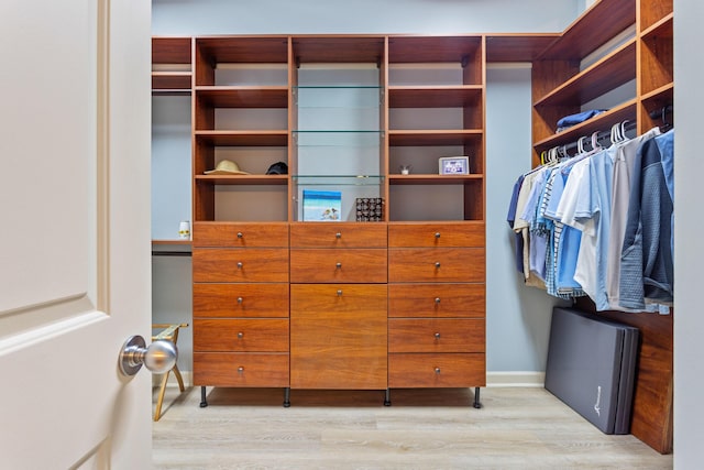 walk in closet with wood finished floors