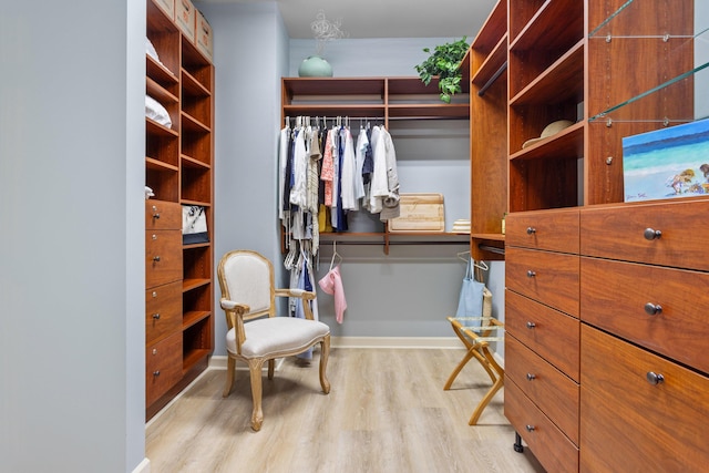 spacious closet with wood finished floors