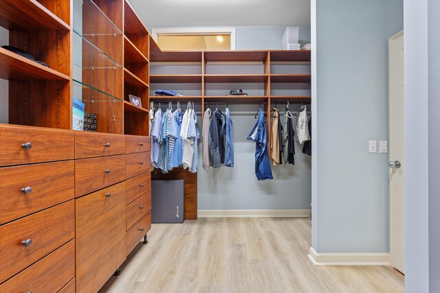 spacious closet with light wood-style flooring