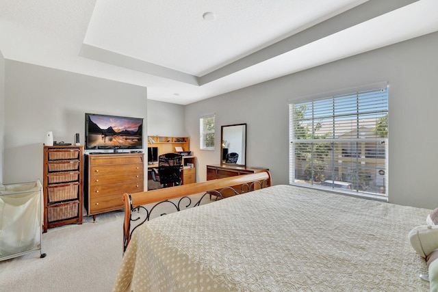 2061 SE Glen Ridge Dr, Port Saint Lucie, FL 34952 - carpeted bedroom featuring a raised ceiling