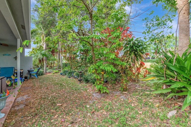 5541 Wishing Star Ln, Greenacres, FL 33463 - view of yard