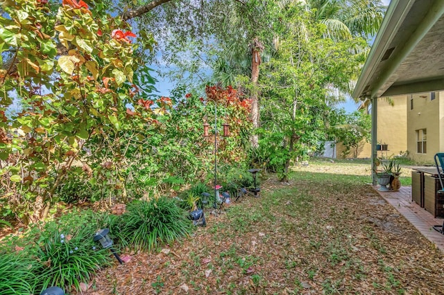 5541 Wishing Star Ln, Greenacres, FL 33463 - view of yard