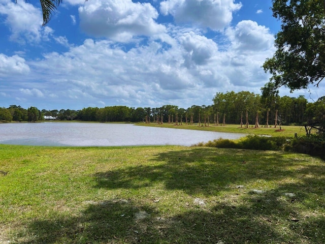 1701 SE Floresta Dr, Port Saint Lucie, FL 34983 - water view with a heavily wooded area