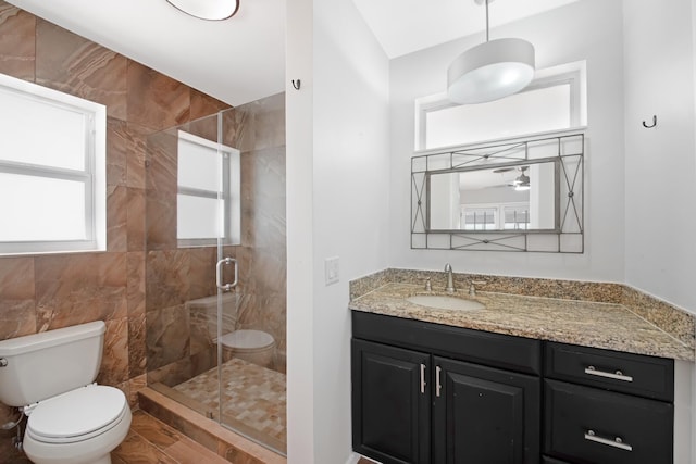 full bath featuring a shower stall, toilet, and vanity