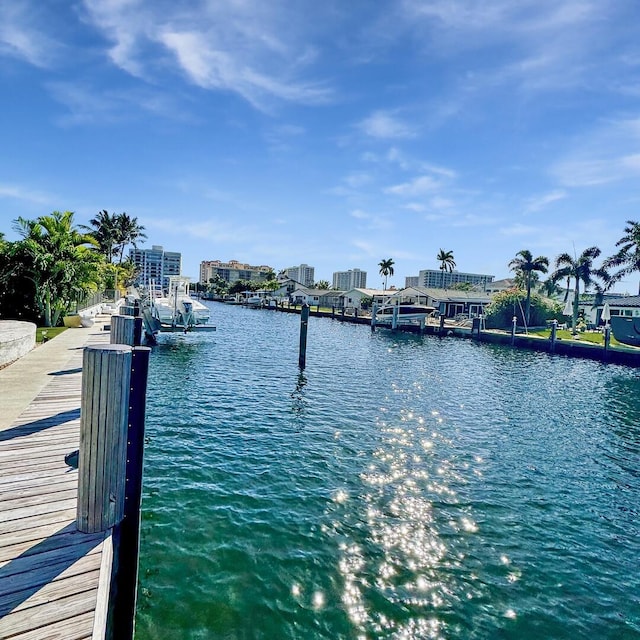 dock area with a water view