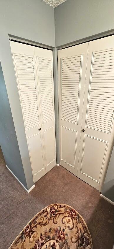 163 Pinto Palm Ct Unit 02, Royal Palm Beach, FL 33411 - view of closet
