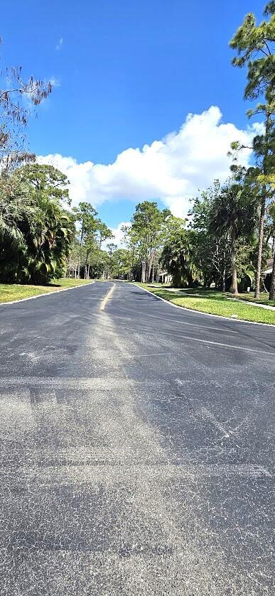 163 Pinto Palm Ct Unit 02, Royal Palm Beach, FL 33411 - view of asphalt street