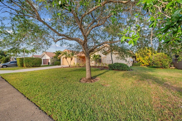 view of front facade featuring stucco siding, an attached garage, concrete driveway, and a front yard