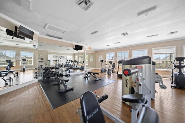 workout area featuring visible vents, ornamental molding, a healthy amount of sunlight, and wood finished floors